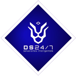 dsx Logo